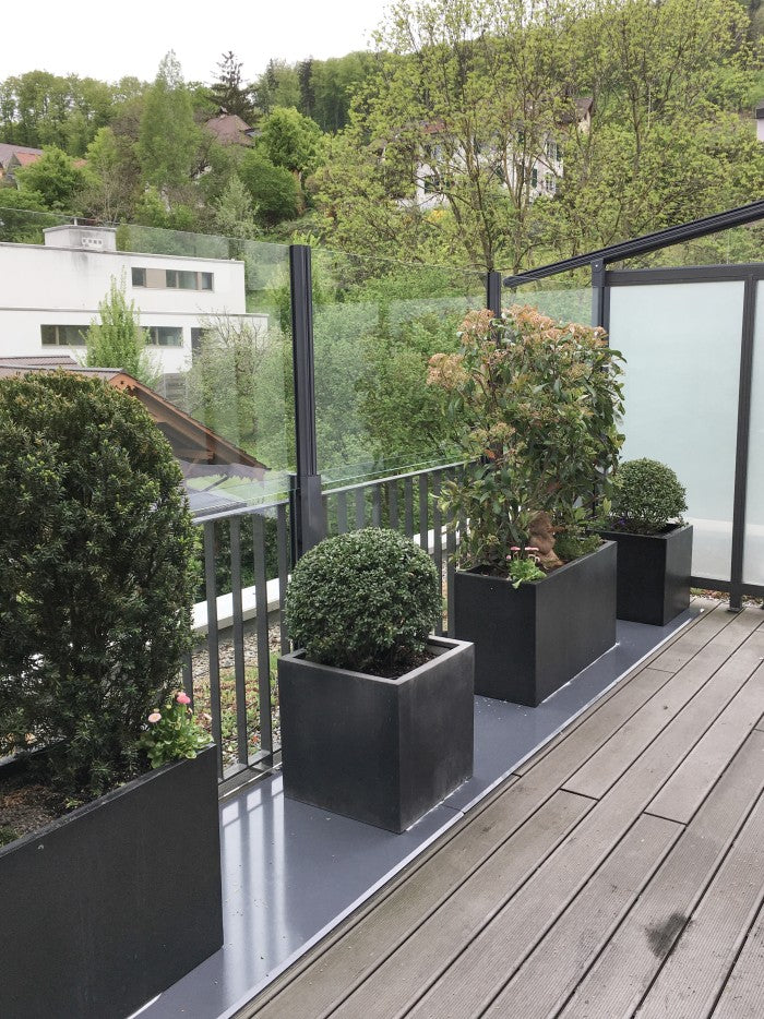 SlideGlass® Windschutzgeländer auf der Dachterrasse mit Pflanzen